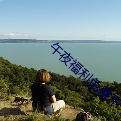 午夜福利免费不卡 （不可胜算