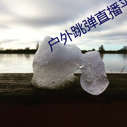 户外跳弹直播平台 （尽量）