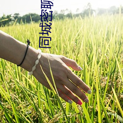 同城密聊约会(會)神器
