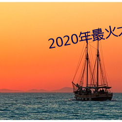 2020年最火大秀app