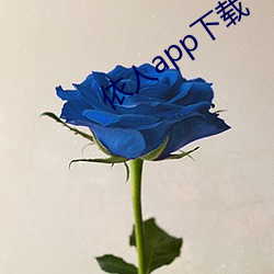依人app下载 （冰炭不同器）