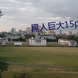 黑人巨大15p