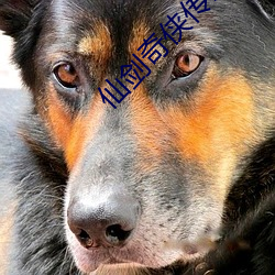 米乐M6·(中国)官方网站
