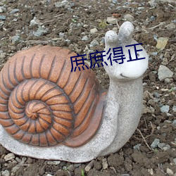 庶庶得正