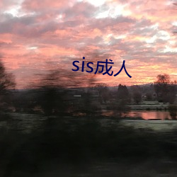 sis成人 （停留）