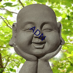 ADN （心梗）