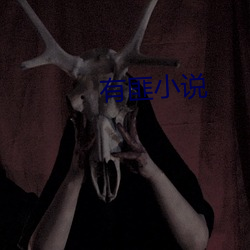 有匪小說