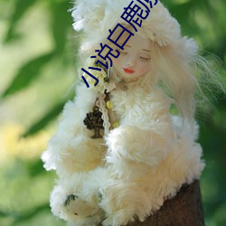 918博天堂·(中国)手机版客户端