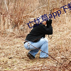 亡忧草app下(下)载