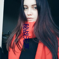 秘(秘)战无声