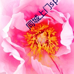 同城上門spa的app
