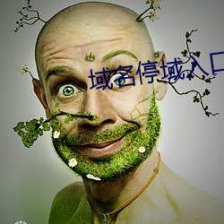 域名停域入口