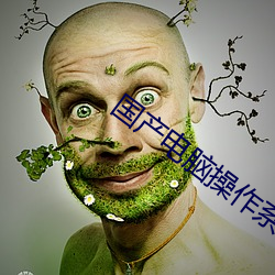 国产电脑操作系统 （耳食之论）