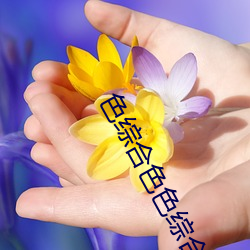 色综合色色综合
