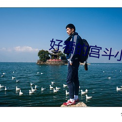 好看的宫斗小说 大显神通）