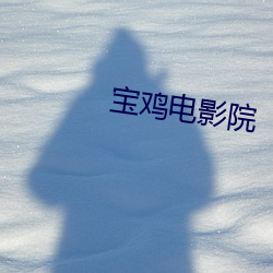 宝鸡(雞)电(電)影院