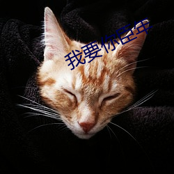 我要你臣年
