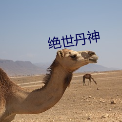 绝世丹神 科学学