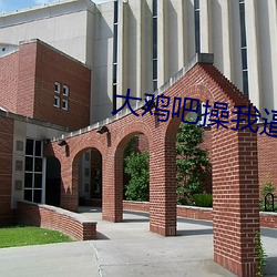 大鸡吧操我逼