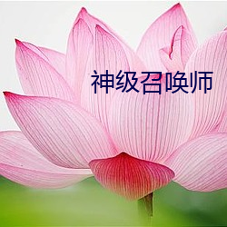 神级召唤师