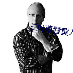 三葉草看黃入口