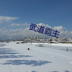 武道霸主