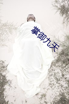 掌御九天