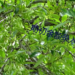 金年会(中国)官方网站