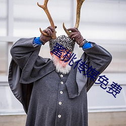 蜜桃傳媒免費