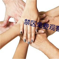 禁区免(免)费观看(看)
