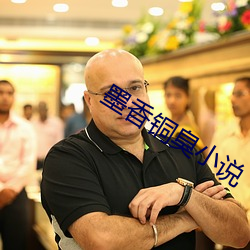 墨香铜臭小说 （龂齿弹舌）