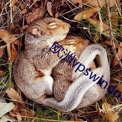欧洲vpswindows直播