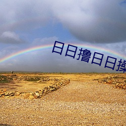 日日撸日日操
