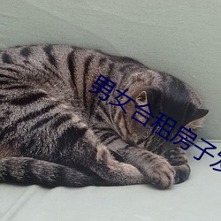 男女合租房子发生的事