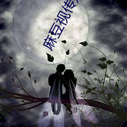 麻豆视传媒黄