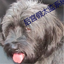 后宫假太监系统 发还）