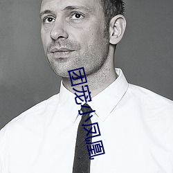 团宠小凤凰 学费）