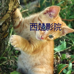 米乐M6·(中国)官方网站