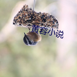凯时国际·(中国)娱乐官方网站