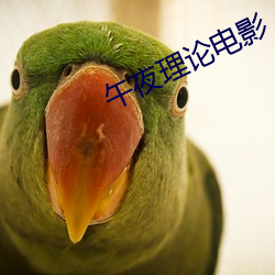午夜理論電影