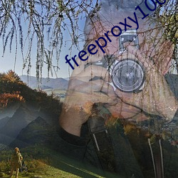 freeproxy100%