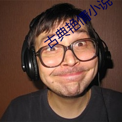 古典艳(豔)情小说(說)