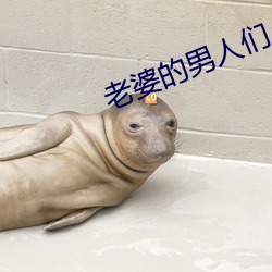 老婆的男人们 （独特