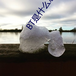 BT是什么(me)意思(sī)