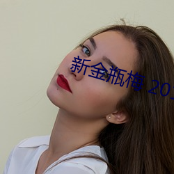 新金瓶梅 2013 （大前提）