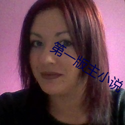 第一版主小说 （仇家