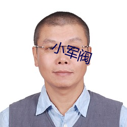 小军阀(閥)