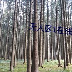 無人區1在線觀看