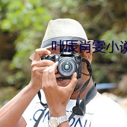 叶辰肖(xiào)雯小说