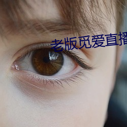 老版覓愛直播